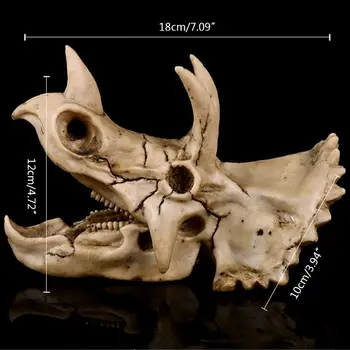Поделки из смолы с черепом динозавра трицератопса для обучающей модели окаменелого скелета Hallo  10