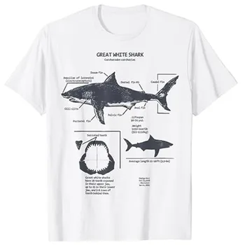 Анатомия большой белой акулы, футболка морского биолога, Морская, научная иллюстрация, одежда для любителей акул, футболка с изображением рыбаков  5